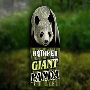 game panda slot